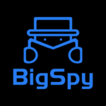 bigspy mini logo